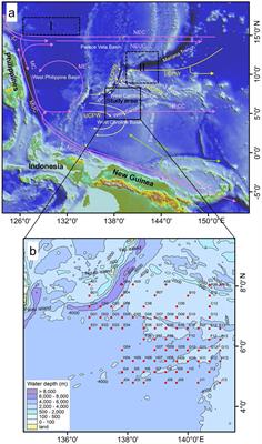 Diatom distribution in Holocene sediments from the northern West Caroline Basin (western equatorial Pacific) and their environmental significance